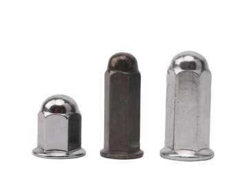 Hexagonal Flange Cap Nut