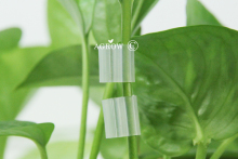 Tomato Grafting Silicone Clips