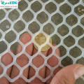 Plastic Flat Wire Mesh for Chicken Breeding Net