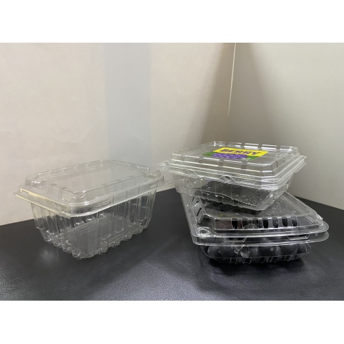 Onde comprar frutas / blueberries clamshell packaigng