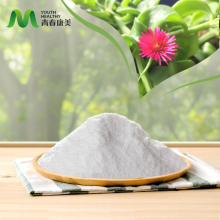 Bulk Andrographis Paniculata Extract Powder