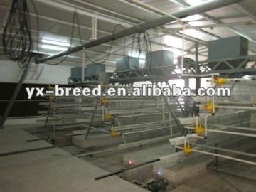 Layer Chicken Egg Poultry Farm Cages of drinker/feeder