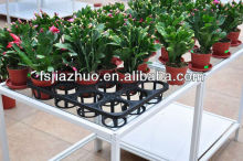 seeding nursery tray