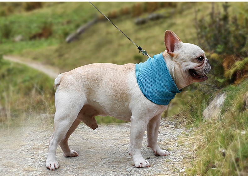 Pet Summer Cold Neck Scarf French Bulldog Dog Cat Cooling Scarf Triangle Scarf Ice Towel Wholesale