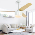 LEDER Black Led Ceiling Fans With Lights