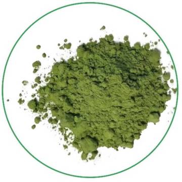 NOP and EU certified pure natural wheatgrass powder