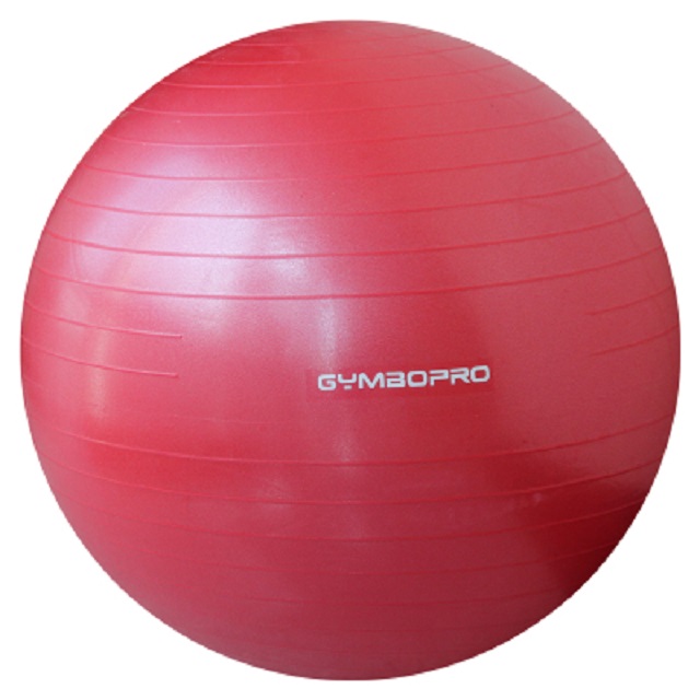 Yoga Ball 65 CM with Air Pump 