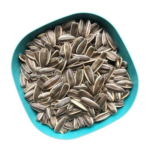 Raw Sunflower Seeds With Different Types