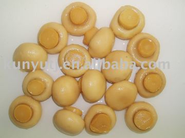canned food,canned mushroom