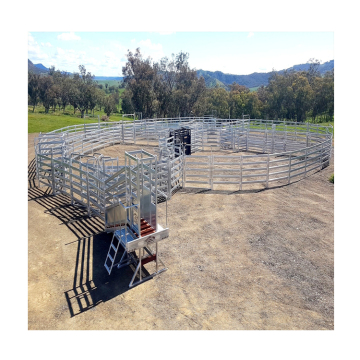 High Quality Permanent Cattle Yards and Ramps