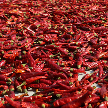 Sichuan millet pepper/pepper segment/dried pepper/red pepper