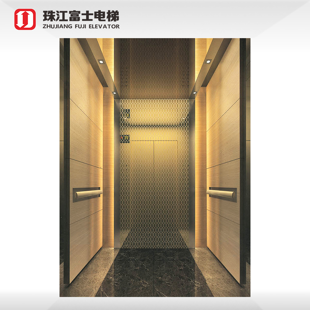 ZhuJiangFuJi 800Kg 10 Passenger Elevator Cost In China elevator lift elevators passenger lift