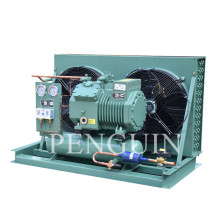 6HP Condensing Machine Compressor Supplier: Condenser Hermetic Compressor for Freezers