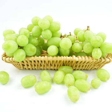 Seedless White Grape Fresh