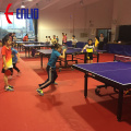 PVC bordtennis sportgolvmatta med ITTF