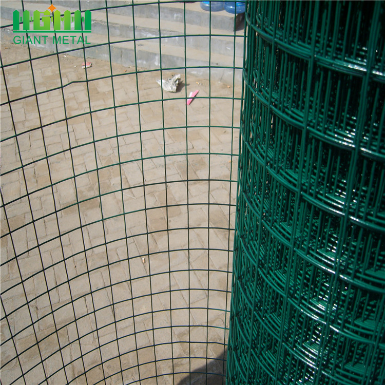 Galvanized and PVC Coated Welded Wire Mesh Rolls