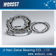 6019 car bearing Deep Groove Ball Bearing