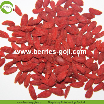 Factory Supply Fruits Bulk Cosmetic Diet Goji Berry