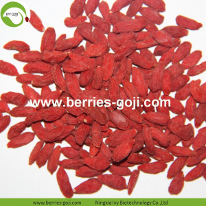 โรงงานผลิตผลไม้ผลไม้อาหารเครื่องสำอางจำนวนมาก Goji Berry