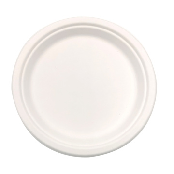 Lunch Plates Sugarcane Bagasse Tableware Biodegradable