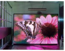 led indoor display