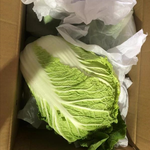 Chinese beijing cabbage export / fresh vegetables mixed container loading