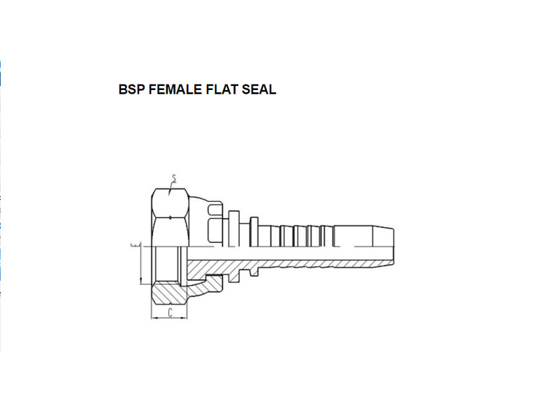 BSP Female Flat Seal 22211