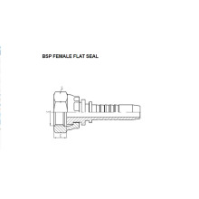 BSP Female Flat Seal 22211