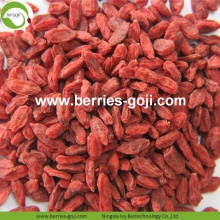 โรงงานซัพพลายผลไม้โภชนาการขาย Goji Berry