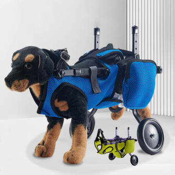 Top Sellers: Dog Leg Support & Wheelchairs for Hind Leg Disabilities