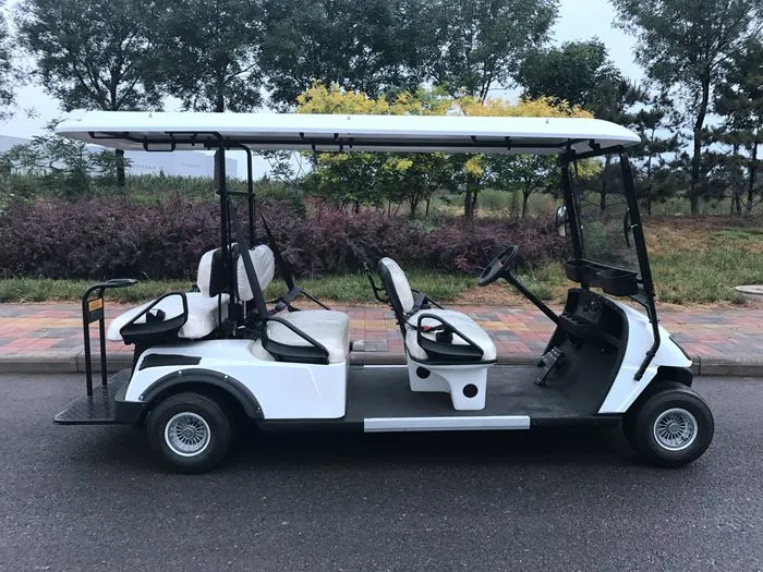 Ce Approved 6 Seater Hunting Electric Golf Cart with Rear Flip Seat