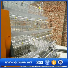 Latest Anal Fatigue Syndrome Chicken Layer Cage