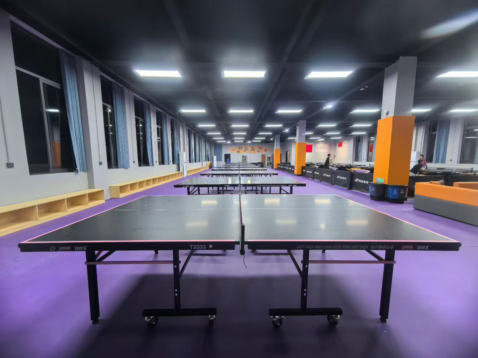 lugares de tenis de mesa 4 table tennis venues 4