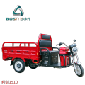 Triciclo elettrico per triciclo elettrico Cargo 1000W