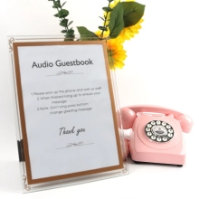 Vintage Wedding Audio Guestbook: Exploring Retro Decor with Antique Telephones in 2023