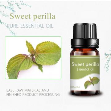 Grado terapéutico 10 ml de aceite de masaje de aceite de perilla dulce natural