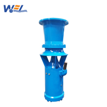 QSZ Agriculture Vertical Propeller Axial Mix Flow Water Pump to Prevent Flooding