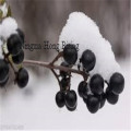 Black Ningxia Organic Goji Berries