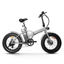250W 36V electrical bicycle with disc break
