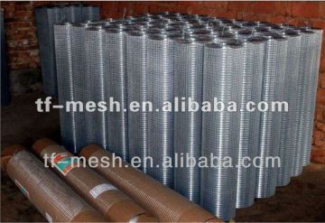 panles galvanized welded wire mesh( ISO 9001)