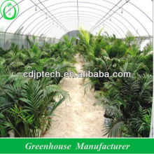 plastic greenhouse