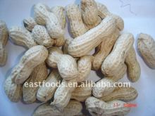 2013 raw crop peanut inshell 9/11