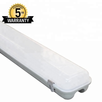 IP65 IK08 Waterproof LED Fixture Light