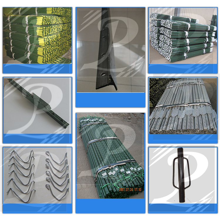 Cheap galvanized used steel fence T post high quality