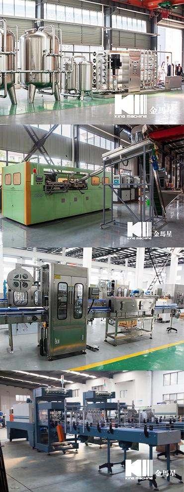 Automatic Carbonated Juice Bottling Plant Line