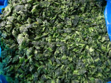 Frozen Spinach Frozen Vegetables IQF Spinach