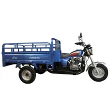 Cargo Tricycle and Motorcycle Vehicles