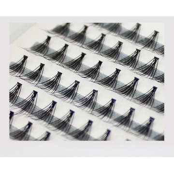 12 lines 10D 120 fans black eyelashes extension