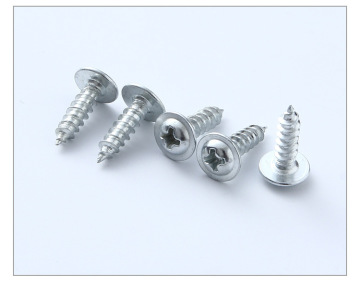 Chinese Fastner Truss Head Self Tapping Screw