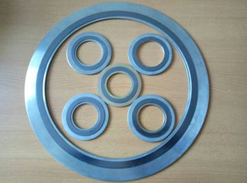 SS304 Metal Spiral Wound Gasket